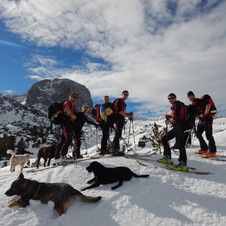 BRD Hundestaffel am Wiesberghaus